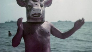 პიკასო, 1949 წ.