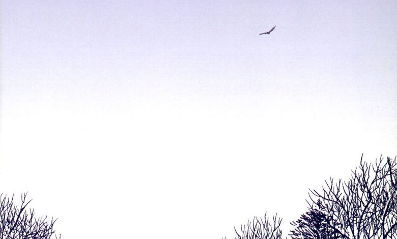 The Walking Dead 08 – მოსიარულე მკვდრები 08