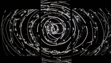 Abstract Rose By Vishinsky