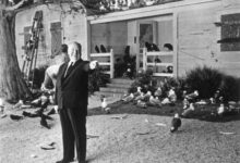 Alfred Hitchcock on the set of the birds. 1963