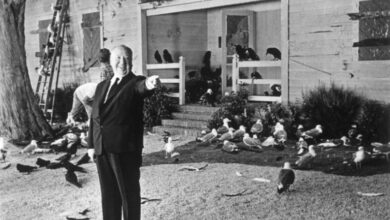 Alfred Hitchcock on the set of the birds. 1963