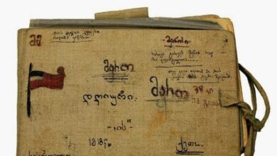 მარო მაყაშვილის დღიური