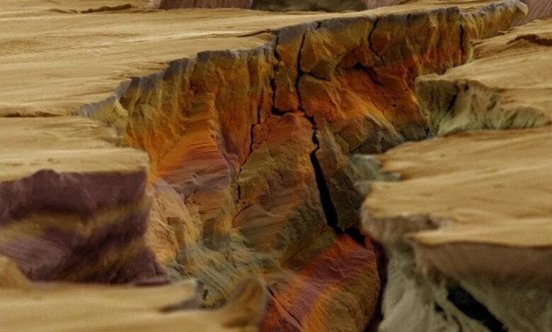 მიკროსკოპული სურათი თუ უცხო პლანეტა?