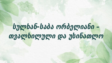 სულხან-საბა ორბელიანი – თვალხილული და უსინათლო
