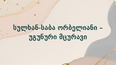 სულხან-საბა ორბელიანი – უგუნური მცურავი