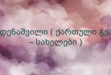 ბედენაშვილი ( ქართული გვარ – სახელები )