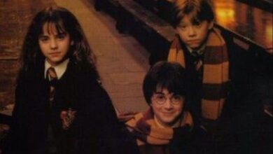 უცნობი ფაქტები ჰარი პოტერის შესახებ