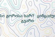 ვისი გორისა ხარ? ცინცაძეთა გვარი