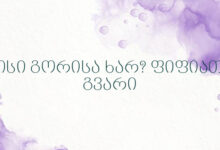 ვისი გორისა ხარ? ფიფიათა გვარი