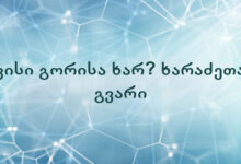 ვისი გორისა ხარ? ხარაძეთა გვარი