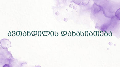 ავთანდილის დახასიათება