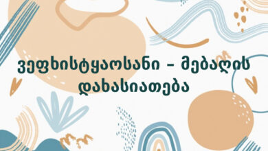 ვეფხისტყაოსანი – მებაღის დახასიათება