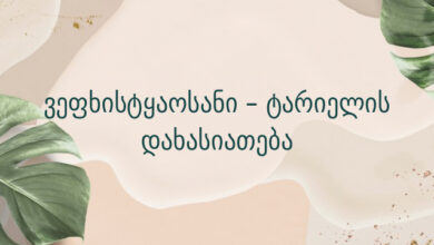 ვეფხისტყაოსანი – ტარიელის დახასიათება