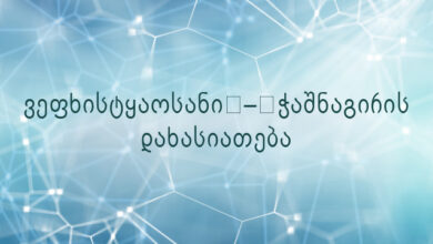 ვეფხისტყაოსანი – ჭაშნაგირის დახასიათება