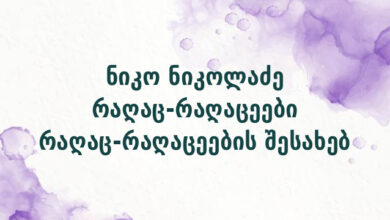 ნიკო ნიკოლაძე რაღაც-რაღაცეები რაღაც-რაღაცეების შესახებ