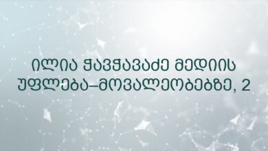 ილია ჭავჭავაძე მედიის უფლება–მოვალეობებზე, 2