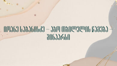 იოანე საბანისძე – აბო თბილელის წამება – შინაარსი