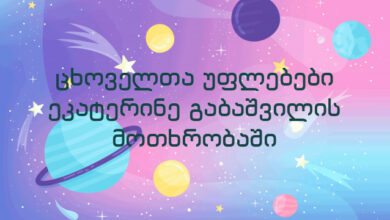 ცხოველთა უფლებები ეკატერინე გაბაშვილის მოთხრობაში