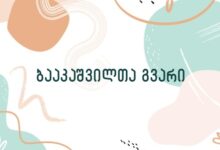 ბააკაშვილთა გვარი