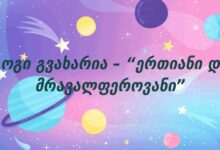 გოგი გვახარია – “ერთიანი და მრავალფეროვანი”