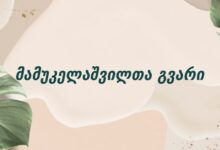 მამუკელაშვილთა გვარი