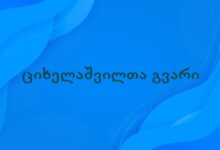 ციხელაშვილთა გვარი