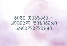 გიგი თევზაძე – სოციალ-ფიზიკური პარალელიზმი