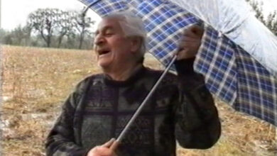 კ/ფ ხმელეთის 0,047%. რეჟისორი გელა კანდელაკი. Gela Kandelaki