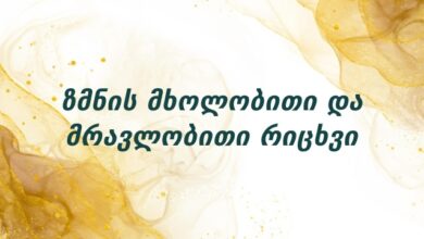 ზმნის მხოლობითი და მრავლობითი რიცხვი