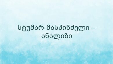 სტუმარ-მასპინძელი – ანალიზი