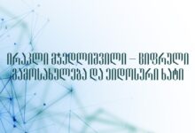ირაკლი მჭედლიშვილი – ციფრული გამოსახულება და ეიდოსური ხატი