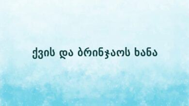 ქვის და ბრინჯაოს ხანა