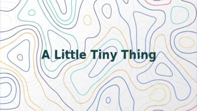 A Little Tiny Thing