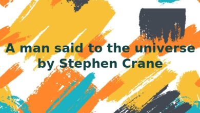 A man said to the universe by Stephen Crane