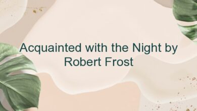 Acquainted with the Night by Robert Frost