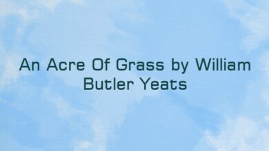 An Acre Of Grass by William Butler Yeats