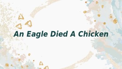 An Eagle Died A Chicken