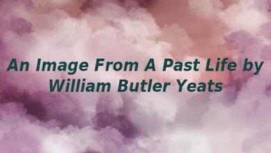 An Image From A Past Life by William Butler Yeats