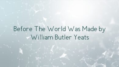 Before The World Was Made by William Butler Yeats