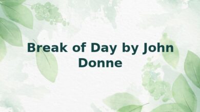 Break of Day by John Donne