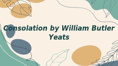 Consolation by William Butler Yeats