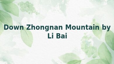 Down Zhongnan Mountain by Li Bai