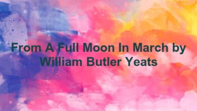 From A Full Moon In March by William Butler Yeats