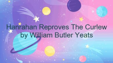 Hanrahan Reproves The Curlew by William Butler Yeats