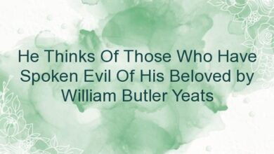 He Thinks Of Those Who Have Spoken Evil Of His Beloved by William Butler Yeats