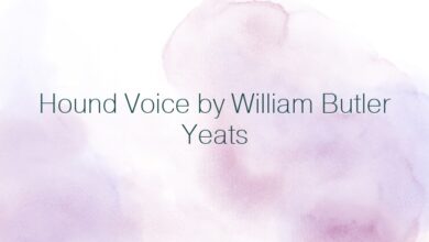 Hound Voice by William Butler Yeats