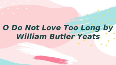 O Do Not Love Too Long by William Butler Yeats
