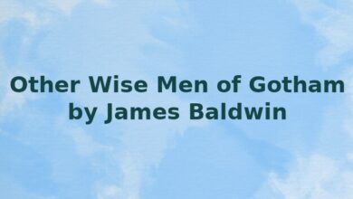 Other Wise Men of Gotham by James Baldwin