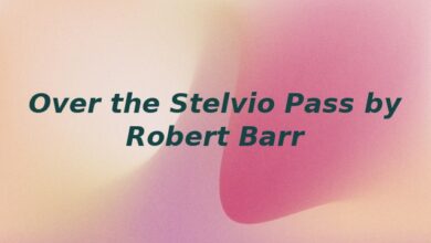 Over the Stelvio Pass by Robert Barr