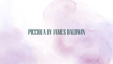 Picciola by James Baldwin